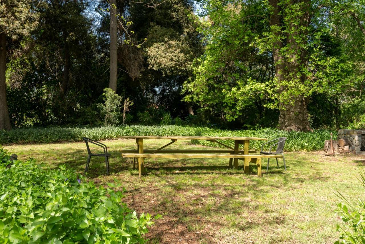 ランカグア Cruz De Triana Bed & Breakfast エクステリア 写真